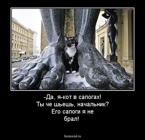 -Да, я-кот в сапогах! Ты че шьешь, начальник? Его сапоги я не брал!