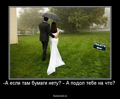 -А если там бумаги нету? - А подол тебе на что? 