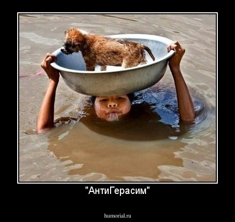 "АнтиГерасим"