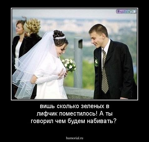 вишь сколько зеленых в лифчик поместилось! А ты говорил чем будем набивать?