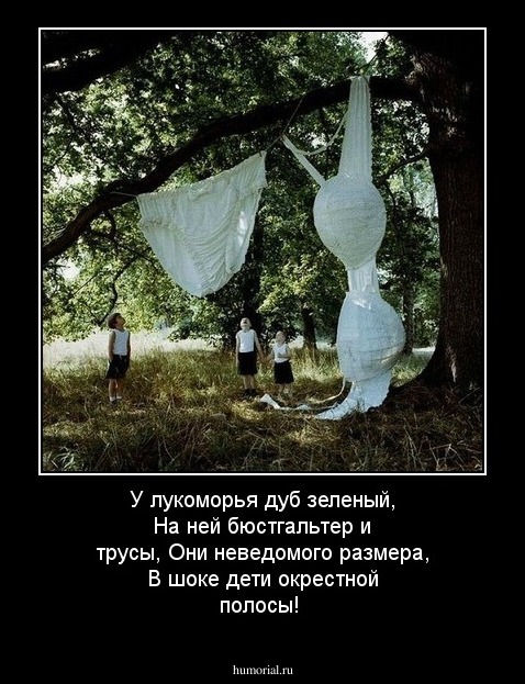 У лукоморья дуб зеленый,
На ней бюстгальтер и трусы,
Они неведомого размера,
В шоке дети окрестной полосы!