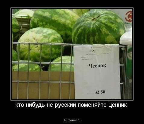 кто нибудь не русский поменяйте ценник 