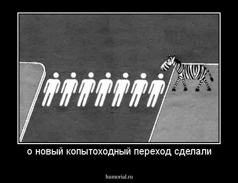 о новый копытоходный переход сделали