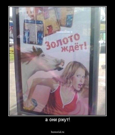а они ржут!