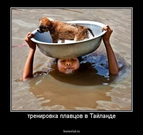 тренировка плавцов в Тайланде