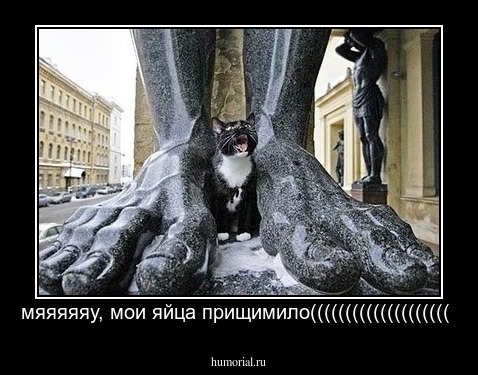мяяяяяу, мои яйца прищимило((((((((((((((((((((