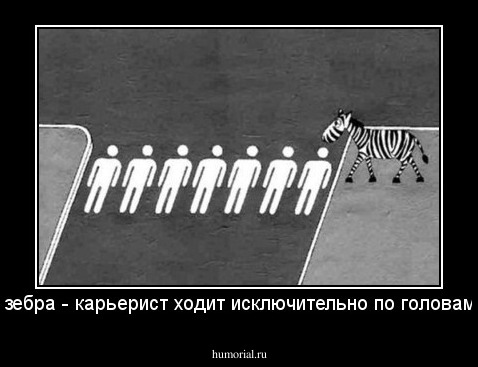 А зебра - карьерист ходит исключительно по головам...