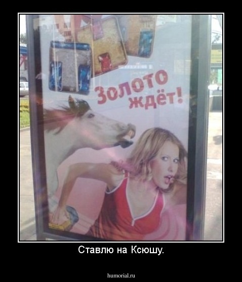 Ставлю на Ксюшу.