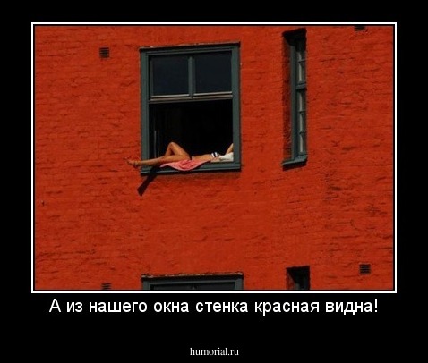 А из нашего окна стенка красная видна!