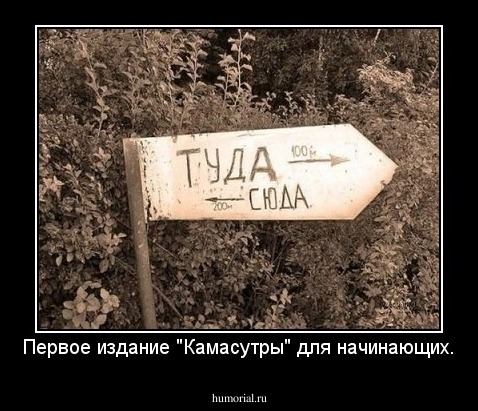 Первое издание "Камасутры" для начинающих.