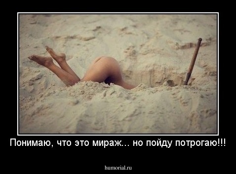 Понимаю, что это мираж... но пойду потрогаю!!!
