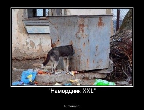 "Намордник ХХL"