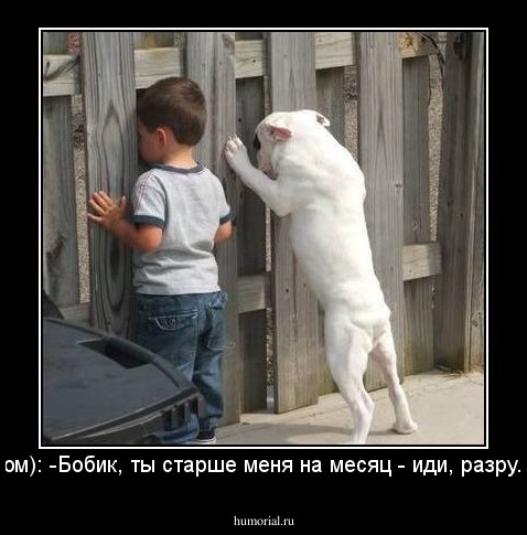 ( шепотом): -Бобик, ты старше меня на месяц - иди, разруливай... 