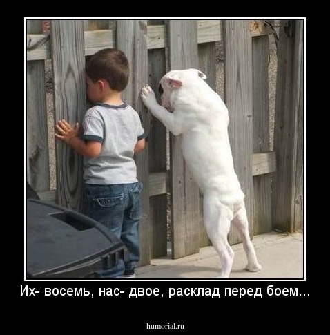 Их- восемь, нас- двое, расклад перед боем...