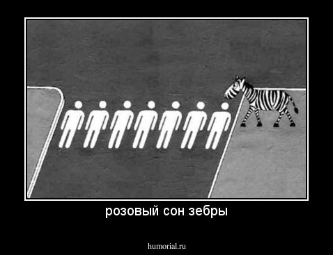 розовый сон зебры