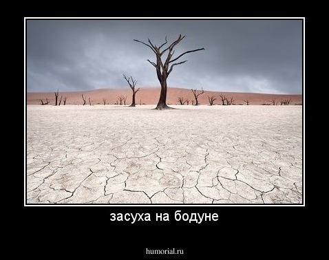 засуха на бодуне