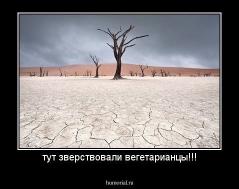 тут зверствовали вегетарианцы!!!