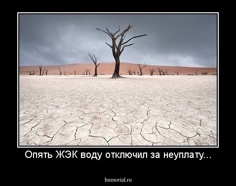 Опять ЖЭК воду отключил за неуплату...