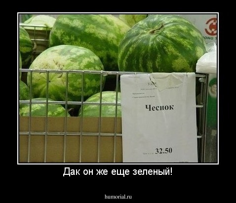 Дак он же еще зеленый!
