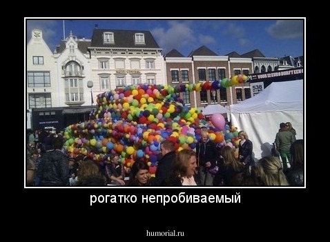 рогатко непробиваемый