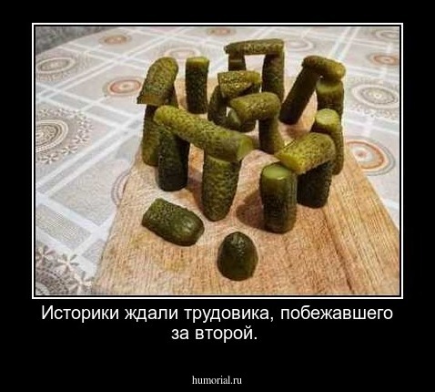 Историки ждали трудовика, побежавшего за второй.