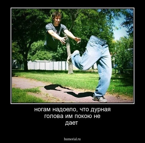 ногам надоело, что дурная голова им покою не дает