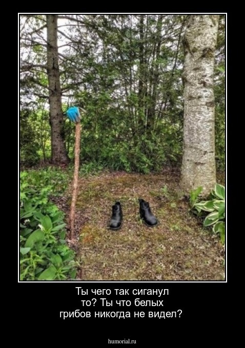 Ты чего так сиганул то? Ты что белых грибов никогда не видел?