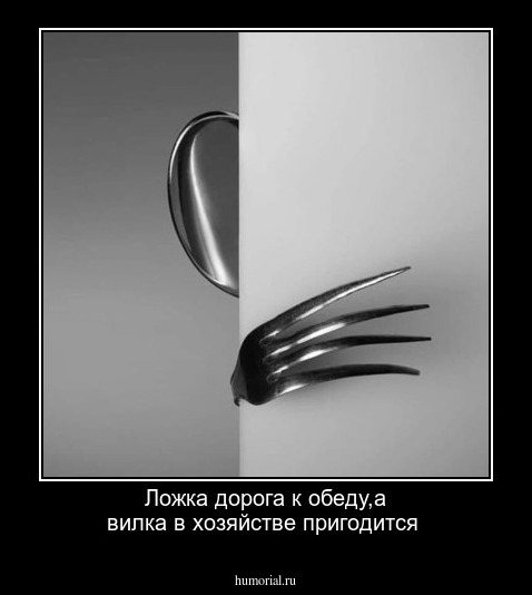 Ложка дорога к обеду,а вилка в хозяйстве пригодится