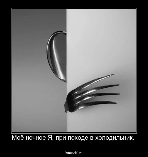 Моё ночное Я, при походе в холодильник. 