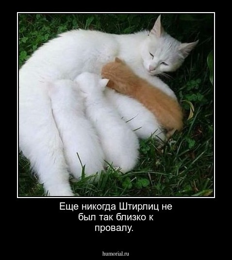 Еще никогда Штирлиц не был так близко к провалу.