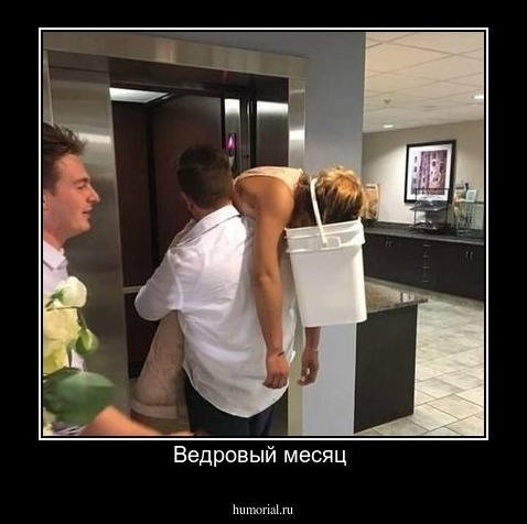 Ведровый месяц 