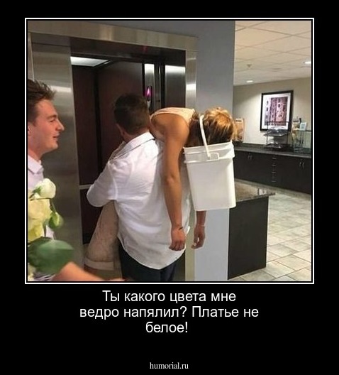 Ты какого цвета мне ведро напялил? Платье не белое!