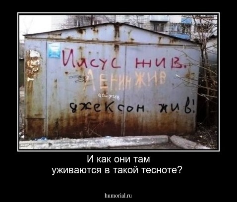  И как  они там уживаются в такой тесноте?
