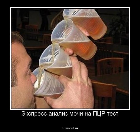 Экспресс-анализ мочи на ПЦР тест