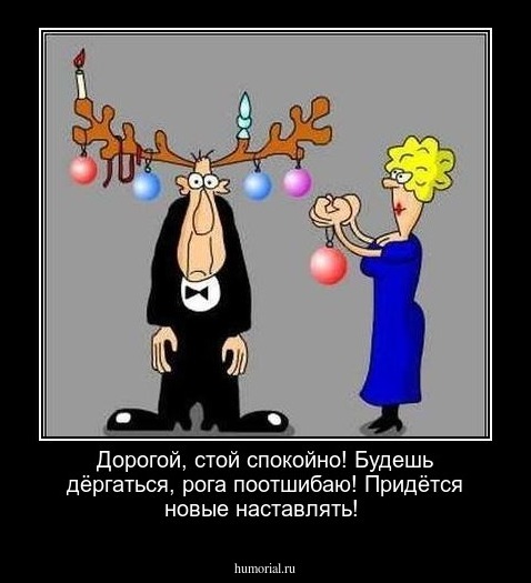 Дорогой, стой спокойно! 
Будешь дёргаться, рога поотшибаю! Придётся новые наставлять!