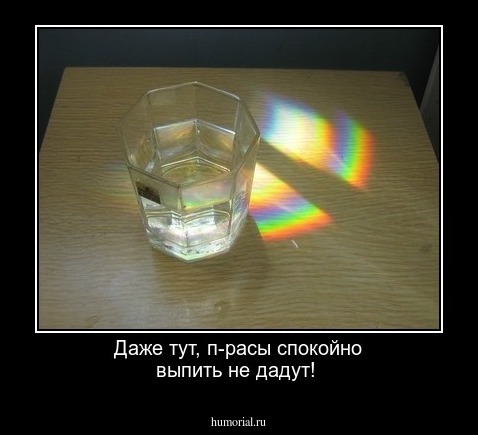 Даже тут,  п-расы спокойно выпить не дадут!