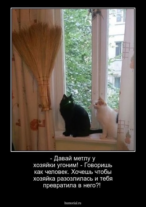 - Давай метлу у хозяйки угоним! - Говоришь как человек. Хочешь чтобы хозяйка разозлилась и тебя превратила в него?!