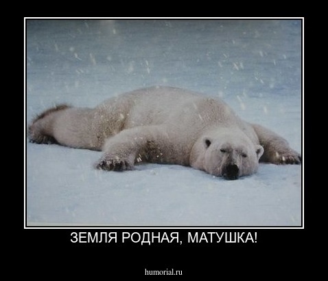 ЗЕМЛЯ РОДНАЯ, МАТУШКА!