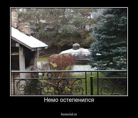 Немо остепенился