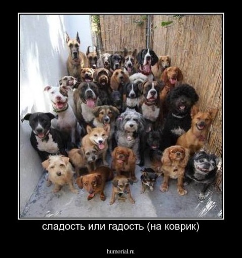 сладость или гадость (на коврик)
