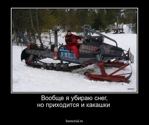 Вообще я убираю снег, но приходится и какашки