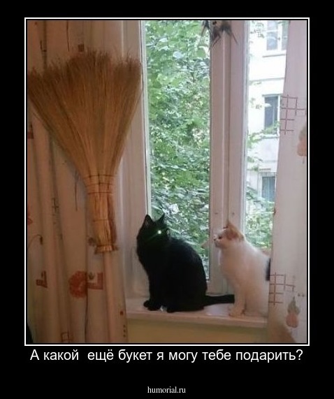 А какой  ещё букет я могу тебе подарить?