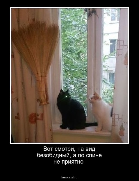 Вот смотри, на вид безобидный, а по спине не приятно