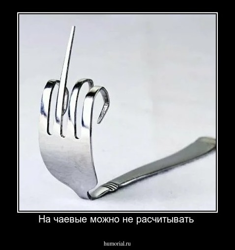 На чаевые можно не расчитывать 