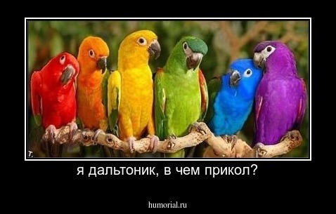 я дальтоник, в чем прикол?