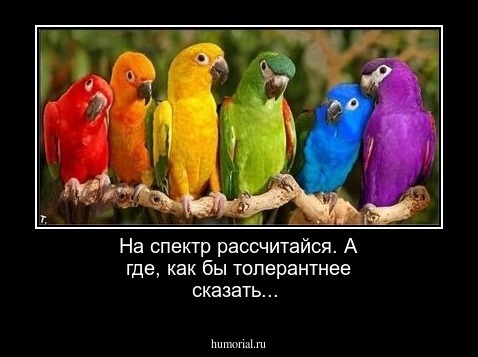 На спектр рассчитайся. А где, как бы толерантнее сказать... 