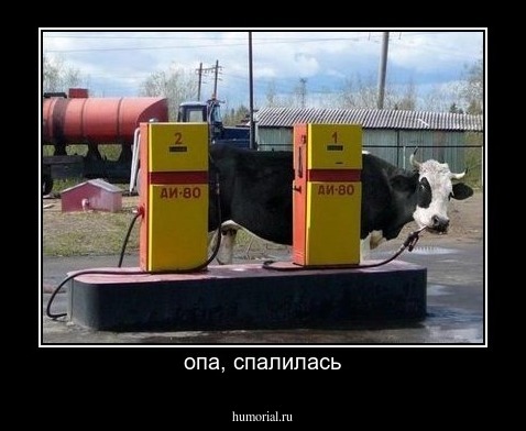 опа, спалилась