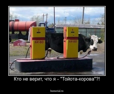 Кто не верит, что я - "Тойота-корова"?!