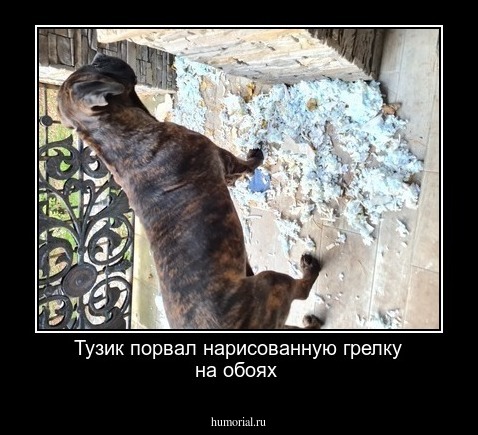Тузик порвал нарисованную грелку на обоях