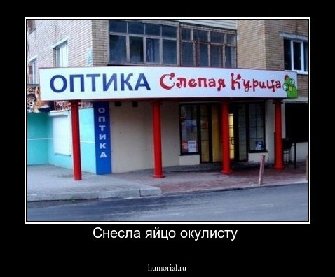Снесла яйцо окулисту 